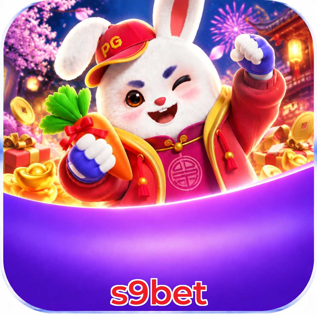 s9bet Interface